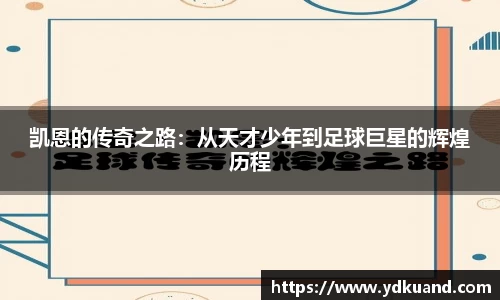 熊猫体育官网